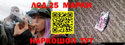 индика Обнинск