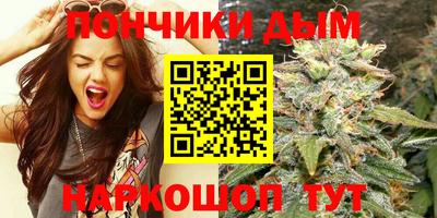 индика Обнинск