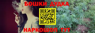 индика Обнинск