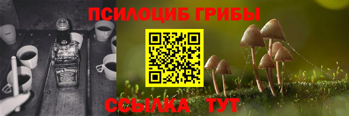 Галлюциногенные грибы Psilocybine cubensis Ртищево